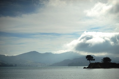 キウイを見守り大自然を巡回、夢のような仕事に応募者殺到 NZ