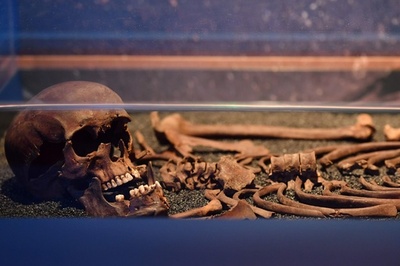 新鉄道工事でロンドンの過去あらわに、人骨や遺物展示へ 