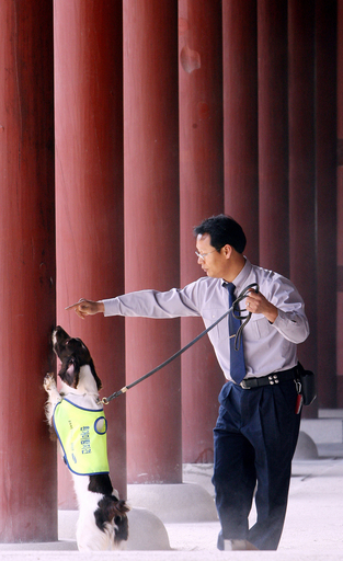 韓国で麻薬捜査犬が文化財保護に活躍