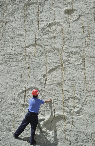 ボリビアの恐竜足跡化石群に危機、世界最大級の「カル・オルコ」