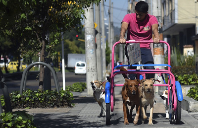 コロンビアで「カーフリーデー」、環境汚染対策で
