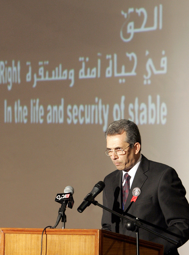 バグダッド国際映画祭が開幕、「国民融和の契機に」