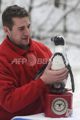 身長体重測ります ドイツ ハノーバーの動物園 写真13枚 ファッション ニュースならmode Press Powered By Afpbb News