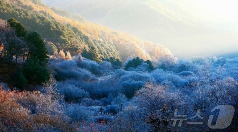 仁済郡提供＝写真は記事の内容とは関係ありません(c)news1