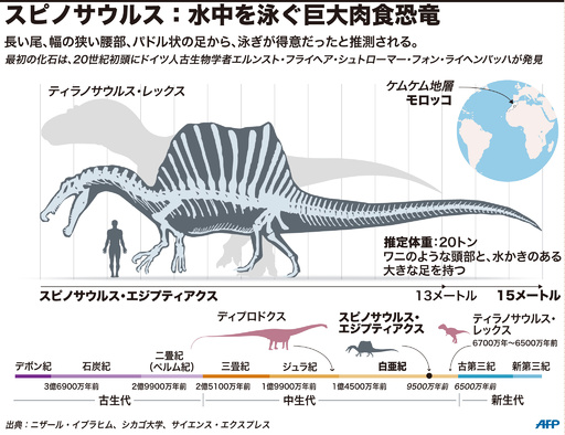 巨大肉食恐竜スピノサウルスは水中で生活？ 米大チームが論文 写真6枚 国際ニュース：AFPBB News