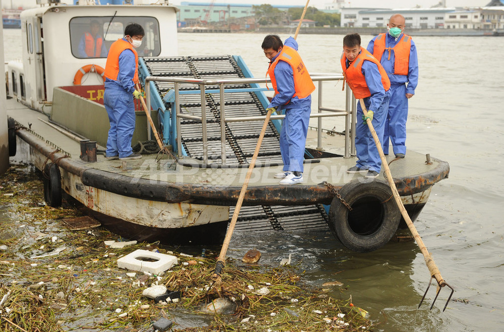 海豚 上海で回収された豚の死骸、6600匹に 写真5枚 国際ニュース：AFPBB News