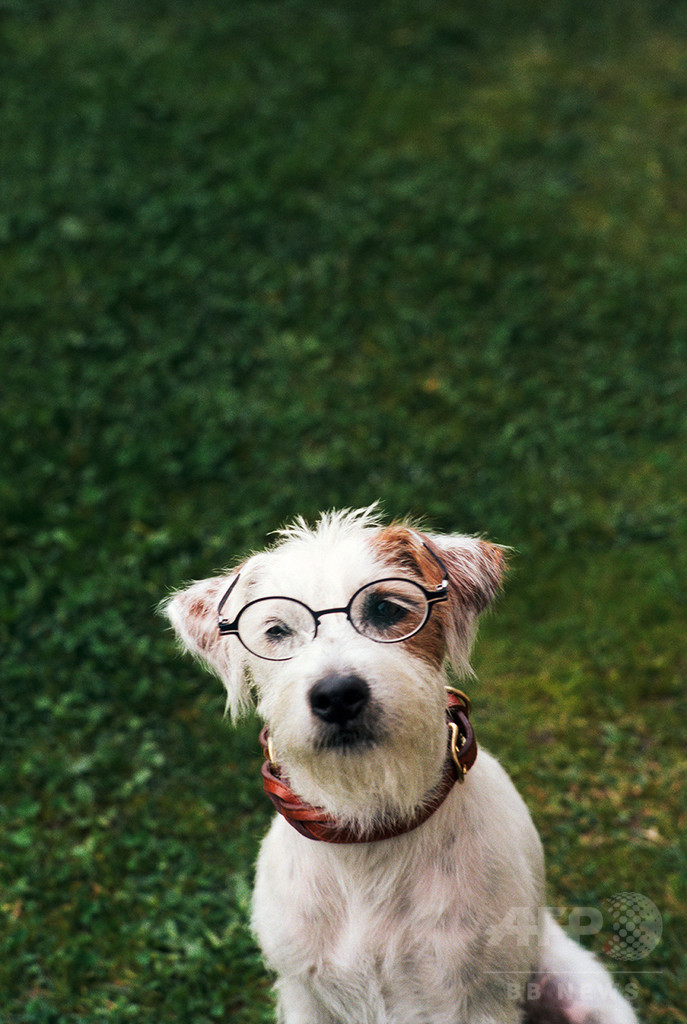 「マイキータ」キッズラインに新作2モデル登場