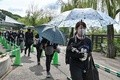 ジャイアントパンダの「リーリー」と「シンシン」の最終観覧日に東京の上野動物園を訪れ、列をつくる人々（2024年9月28日撮影）。(c)Richard A. Brooks / AFP
