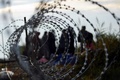 ハンガリーとセルビアの国境に設置された有刺鉄線の向こう側を歩く移民ら（2015年8月25日撮影）。(c)AFP/ATTILA KISBENEDEK