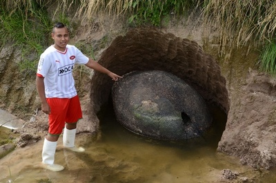 1万年以上前に絶滅のキリンの仲間 太い脚とカール状の角 研究 写真1枚 国際ニュース Afpbb News