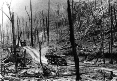 ベトナム戦争時の「ホーチミン・ルート」、建設から50年