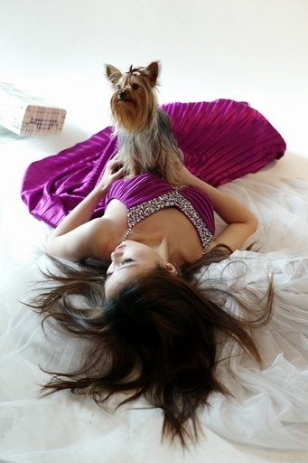 「犬は1世帯1匹まで」、上海で新条例施行