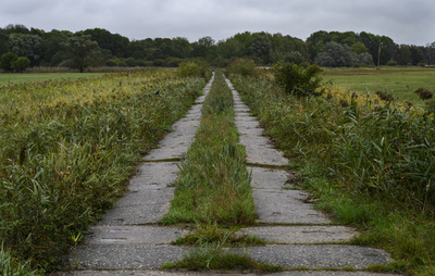 死のベルトから「グリーンベルト」に ドイツ旧国境の今