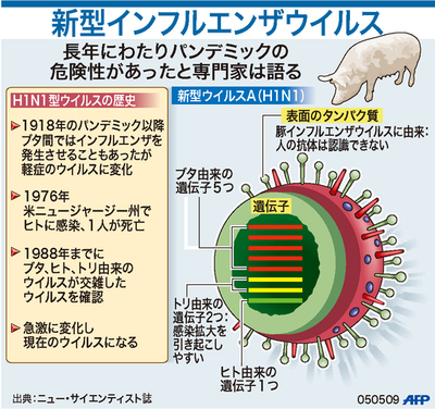 【図解】新型インフルエンザウイルス