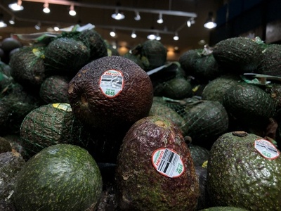 米、メキシコ産アボカドの輸入停止 検疫官に脅迫電話