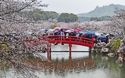 中国の旅行トレンドは「短・近・週末」 都市間の周遊旅行には優遇も