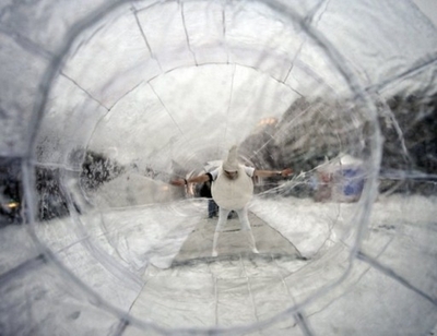 「睾丸に超音波」、新たな避妊法の可能性 米研究