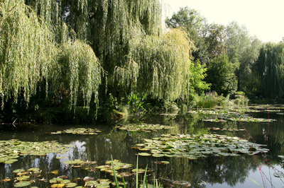 芸術愛好家必見、著名作品ゆかりの場所を訪れるツアー登場