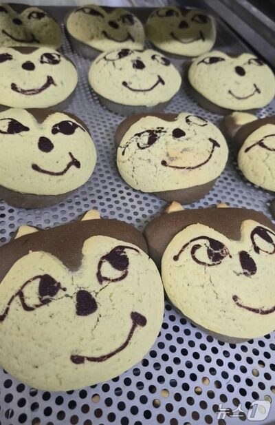 韓国・大田で“オオカミ人気”拡大…脱走「ヌック」が観光・消費を動かす地域トレンドに