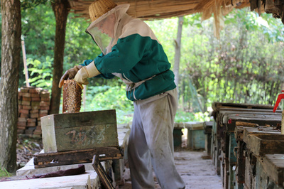 300円で輸出して3000円で輸入 ハチミツ大国・中国の事情