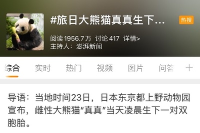 パンダの「真真」が双子を出産、中国のネットユーザーが祝福