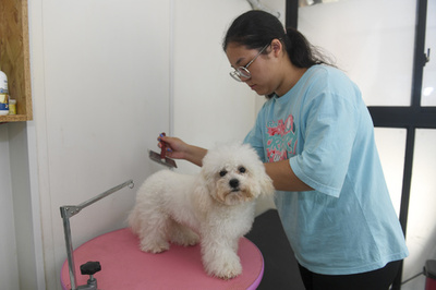 自称・ペットの「おしっこ始末係」 中国で空前の犬・猫ブーム　