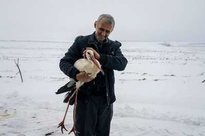 寒くて飛べず…凍えたコウノトリを住民らが自宅で保護 ブルガリア