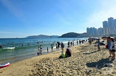 韓国、大企業と中小企業で夏休みに格差…「5日以上」と「3日」が最多
