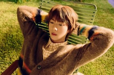 BTSジン、誕生日に「推しアイドル」寄付妖精に選出！