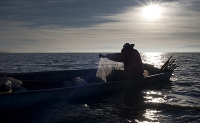 魚資源を回復させれば年4兆円近い経済効果に、国連