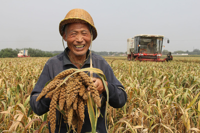 中国政府、「農民の記念日」を創設 休日や高速料金の扱いは？