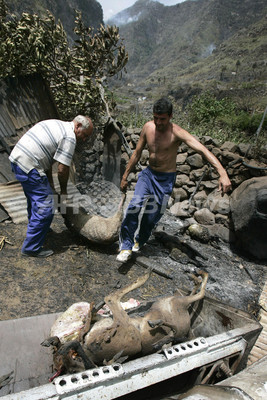 スペイン領カナリア諸島で山火事 写真11枚 ファッション ニュースならmode Press Powered By Afpbb News