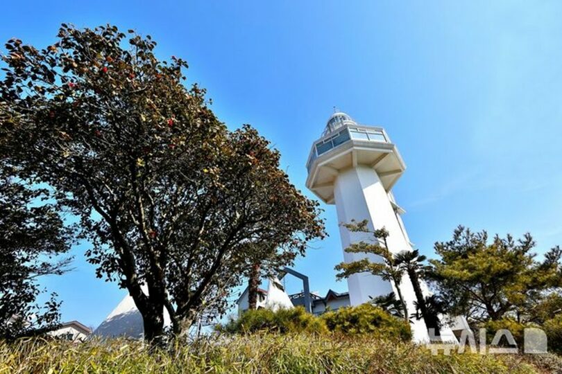 梧桐島灯台とツバキ＝韓国航路標識技術院提供(c)NEWSIS