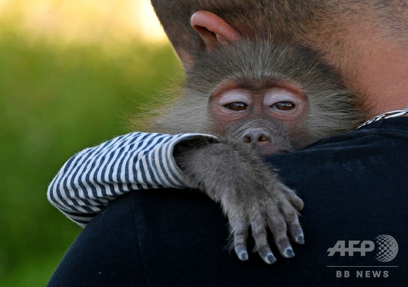 今日の1枚 ここが一番落ち着く場所 写真4枚 国際ニュース Afpbb News