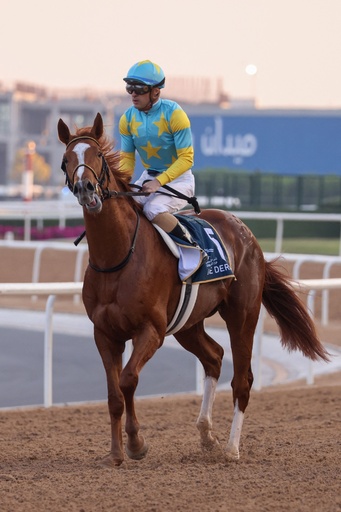 ウシュバテソーロがドバイWC優勝、日本馬3勝 ドバイ国際競走 写真11枚