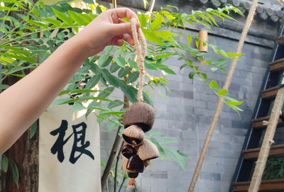 植物も癒やしてくれる？果実の鈴が中国の若者に人気