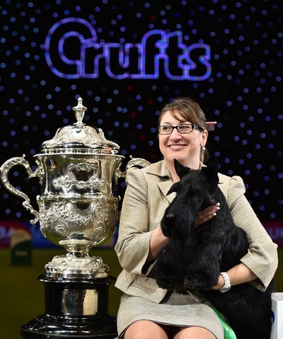 英ドッグショー「クラフツ」、最高賞はスコティッシュ・テリア
