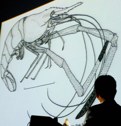 地球上の全生物種データベース化を目指すプロジェクト開始