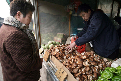 緑茶とキノコに乳がん予防効果、複合効果も 豪研究