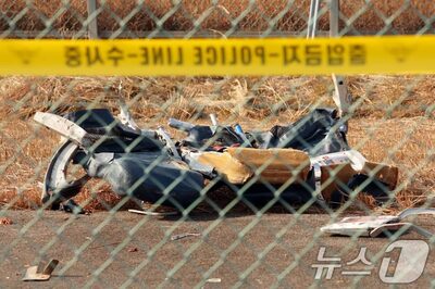 「鳥が翼に挟まり、着陸できない」…韓国・航空機事故、地上の家族にメッセージ