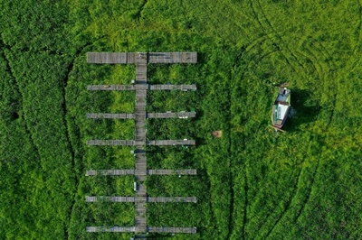 干上がった貯水湖、草に囲まれる桟橋 ドイツ