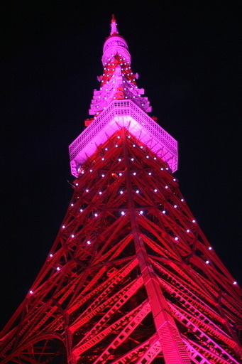 繋げよう、伝えよう、克服しよう、ピンクリボンキャンペーン点灯式開催