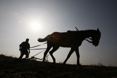 世界の土壌の4分の1が著しく劣化、食糧生産の妨げに FAOが警鐘
