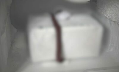 「18年間の慟哭」母の遺骨を冷凍庫に隠し続けた男性の告白「死を認めたくなかった」…韓国・若手警察官が救った孤独の闇