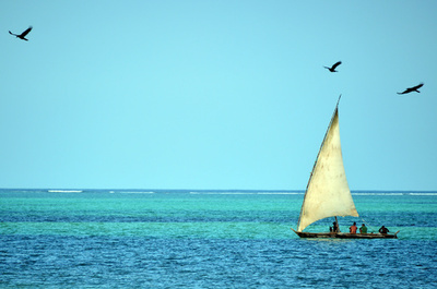 「息がもたないほど君が好き」…米男性、海中プロポーズで溺れて死亡