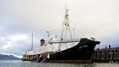 アイスランド、捕鯨を2024年に廃止へ 「経済的メリットない」