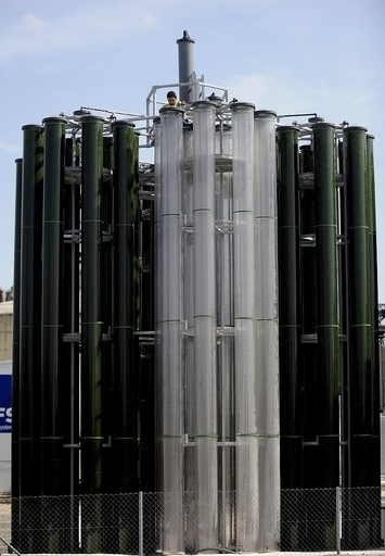 植物プランクトンから作る「未来の燃料」、CO2も吸収 スペイン