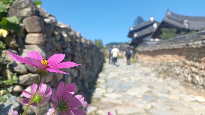 慶尚南道咸陽の開平韓屋村(c)NEWSIS