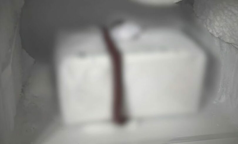 18年間冷凍庫に保管されていた遺骨＝ソウル警察庁ユーチューブ画面キャプチャ(c)MONEYTODAY