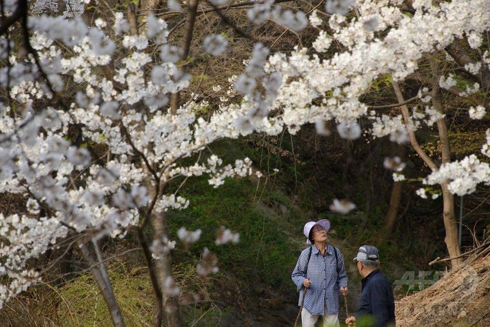 韓国人女性の平均余命 30年までに90歳超え 英研究 写真1枚 国際ニュース Afpbb News 韓国人女性の平均余命 30年までに90歳超え 英研究 写真1枚 国際ニュース Afpbb News